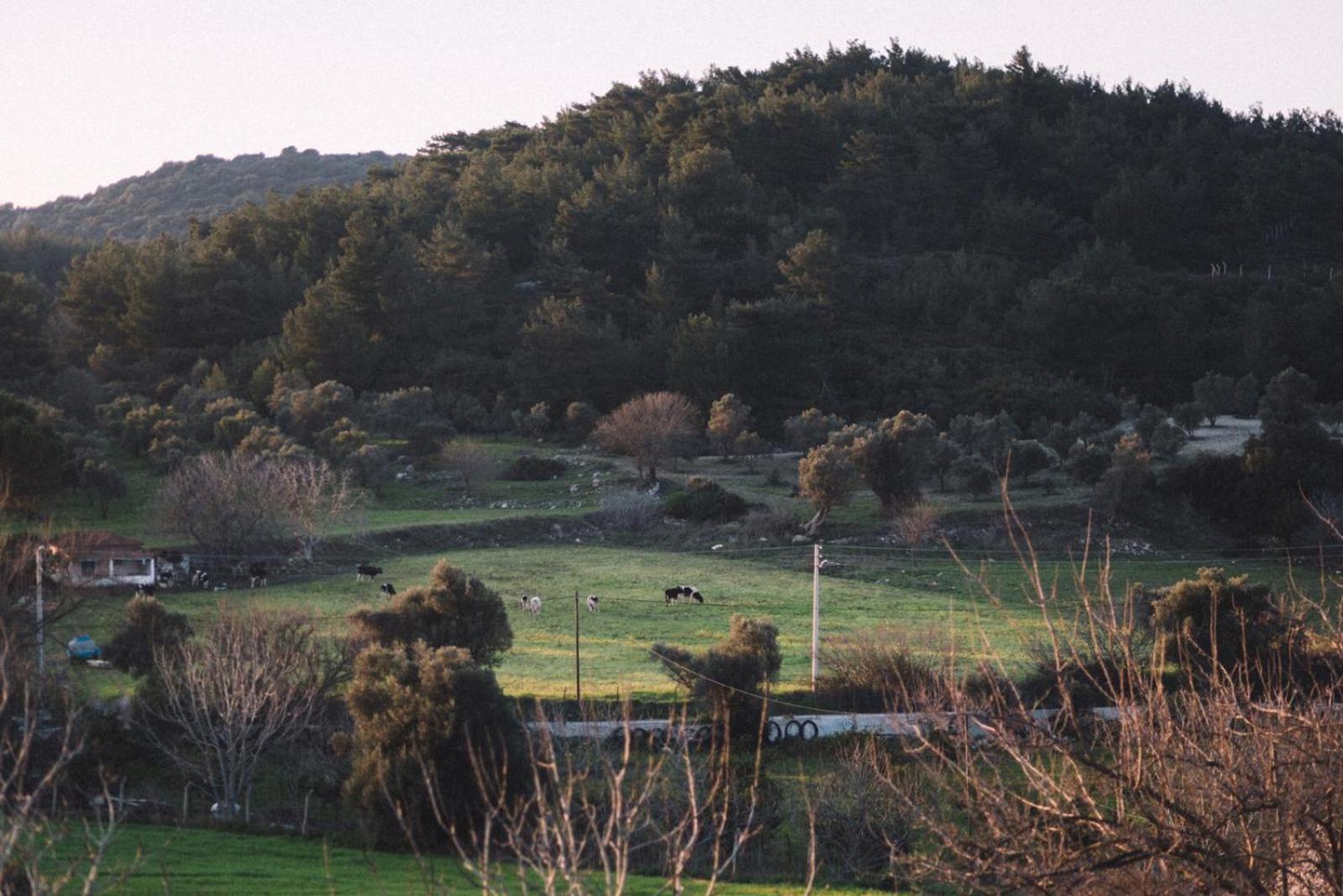 Otel Od Urla Dış mekan fotoğraf