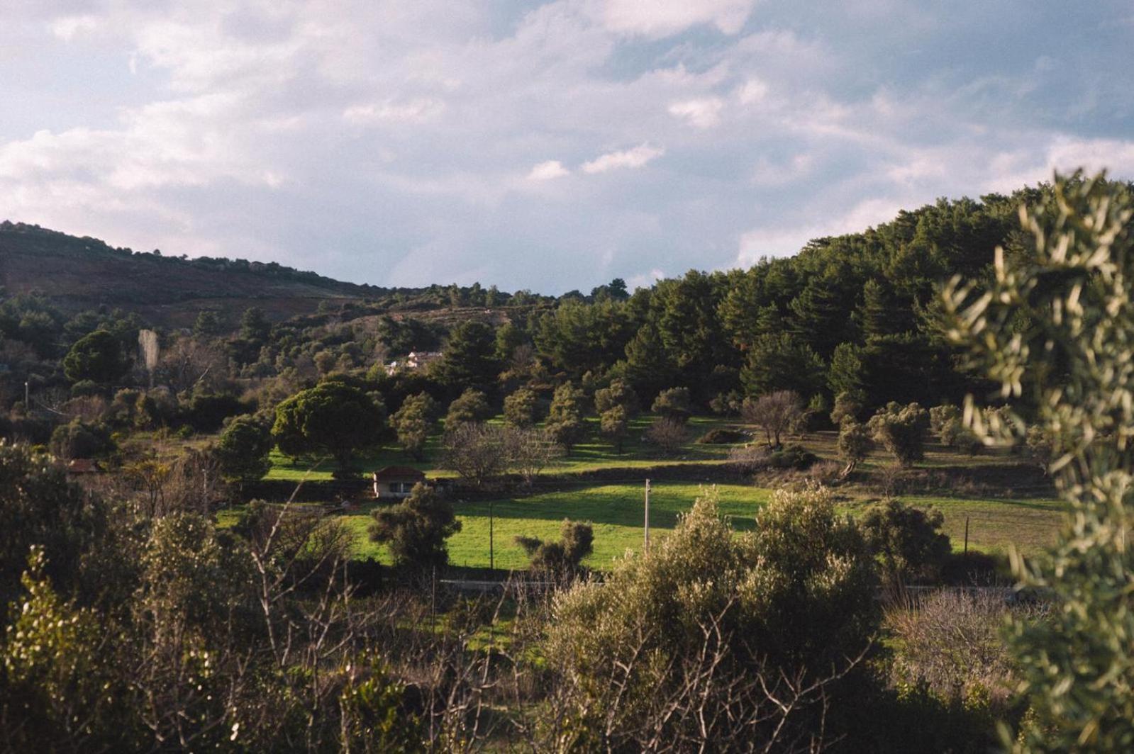 Otel Od Urla Dış mekan fotoğraf